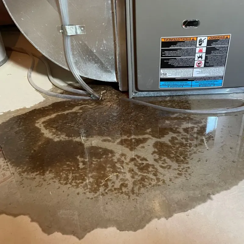 Pipe Burst and Leak Restoration in Amherst Center, MA
